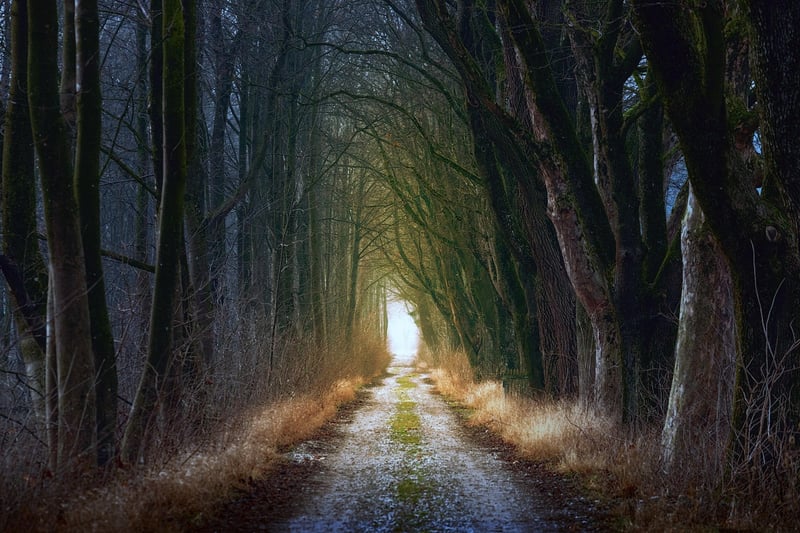 Mystical Wedding Image